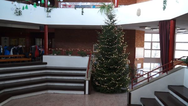 Közel 10 méteres karácsonyfa díszíti a kapuvári Széchenyi-iskola auláját