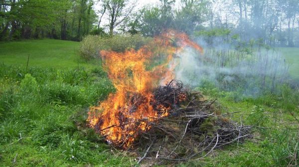 Katasztrófavédelmi tájékoztató a zöldhulladék égetésének szabályairól